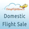 Domestic Flights(125*125)