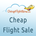 Book fast and get $15* now with our cheap flight deals!